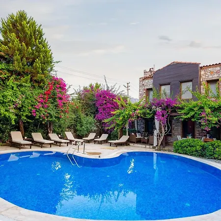 Luna Begonvil Tas Evler 3*