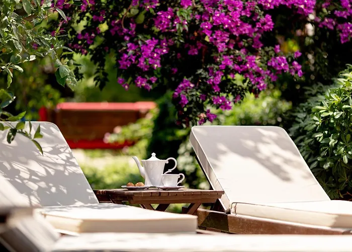 Luna Begonvil Tas Evler 3*