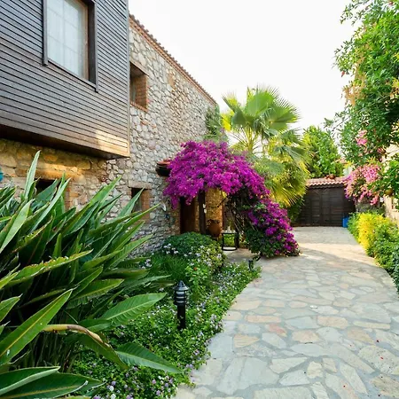 Luna Begonvil Tas Evler 3*