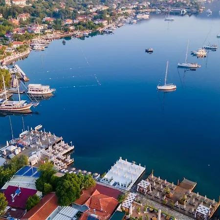 Luna Begonvil Tas Evler 3*