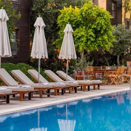 Luna Begonvil Tas Evler 3*