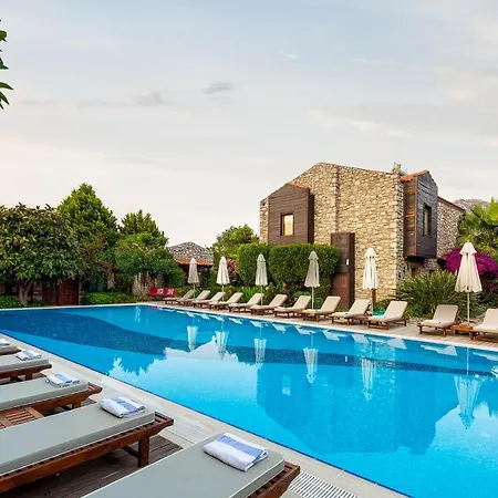 Luna Begonvil Tas Evler السليمية