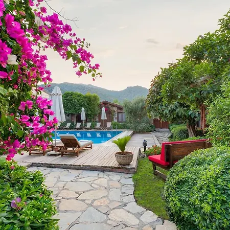 Luna Begonvil Tas Evler فندق السليمية