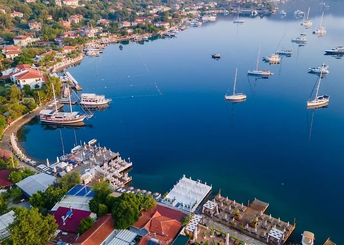 Luna Begonvil Tas Evler 3*