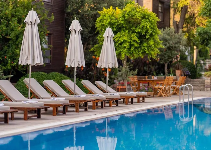 Luna Begonvil Tas Evler 3*